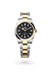 Rolex Explorer 36 in Yellow Rolesor - combination of Oystersteel and yellow gold, M124273-0001 - Henne Jewelers