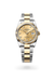 Rolex Datejust 36 in Yellow Rolesor - combination of Oystersteel and yellow gold, M126233-0018 - Henne Jewelers