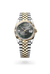 Rolex Datejust 36 in Yellow Rolesor - combination of Oystersteel and yellow gold, M126233-0035 - Henne Jewelers