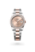 Rolex Datejust 36 in Everose Rolesor - combination of Oystersteel and Everose gold, M126281RBR-0016 - Henne Jewelers