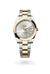 Rolex Datejust 41 in Yellow Rolesor - combination of Oystersteel and yellow gold, M126303-0001 - Henne Jewelers