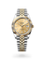 Rolex Datejust 41 in Yellow Rolesor - combination of Oystersteel and yellow gold, M126333-0010 - Henne Jewelers