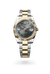 Rolex Datejust 41 in Yellow Rolesor - combination of Oystersteel and yellow gold, M126333-0019 - Henne Jewelers