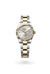 Rolex Datejust 31 in Yellow Rolesor - combination of Oystersteel and yellow gold, M278273-0019 - Henne Jewelers