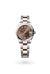 Rolex Datejust 31 in Everose Rolesor - combination of Oystersteel and Everose gold, M278341RBR-0003 - Henne Jewelers