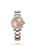 Rolex Datejust 31 in Everose Rolesor - combination of Oystersteel and Everose gold, M278381RBR-0023 - Henne Jewelers