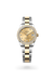 Rolex Datejust 31 in Yellow Rolesor - combination of Oystersteel and yellow gold, M278383RBR-0025 - Henne Jewelers