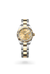 Rolex Lady-Datejust in Yellow Rolesor - combination of Oystersteel and yellow gold, M279173-0012 - Henne Jewelers